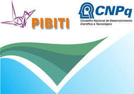 PIBITI