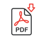 PDF ICONE 1 PDF ICONE 1