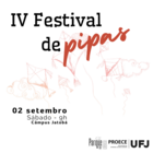 IV Festival de Pipas