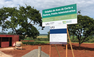 Obras Aviário UFJ