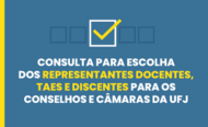 consulta conselhos e camaras ufj