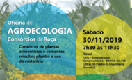 Oficina de Agroecologia - Consórcios da Roça