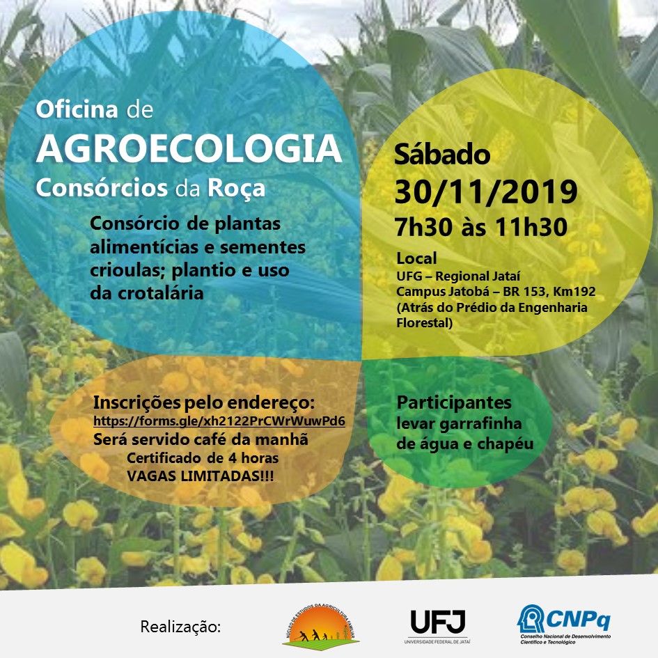 Oficina de Agroecologia - Consórcios da Roça