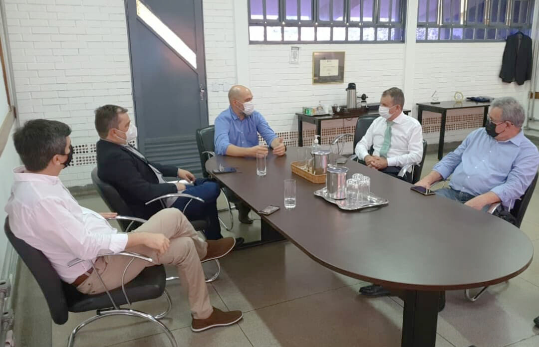 Reunião SEDI FAPEG