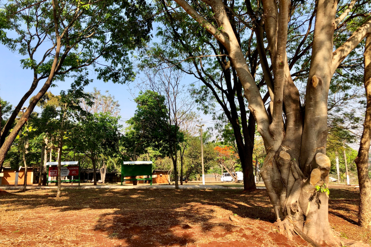 Jardinagem Campus Jatobá 10