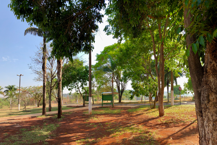 Jardinagem Campus Jatobá 6