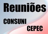 noticia1265734461_ORIG.jpg