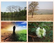ABC Clima