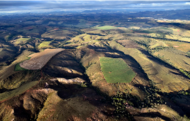 (Foto: WWF Brasil) obtida em https://aredacao.com.br/noticias/155683/cerrado-goiano-area-devastada-em-10-anos-equivale-a-6-cidades-de-sao-paulo