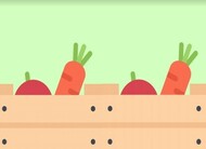 Feira Agroecologica 2020