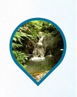 Gota cachoeira nascente