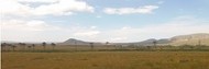 Grupo de estudos Geoecologia de Paisagens do Cerrado Grupo de estudos Geoecologia de Paisagens do Cerrado