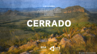 DIA DO CERRADO