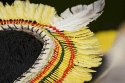 Imagem obtida em  https://www.todamateria.com.br/cultura-tupi-guarani/