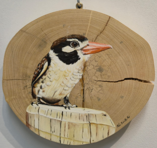 Aves por onde andei - Exposição de fotografias e pinturas em madeira de demolição UFG