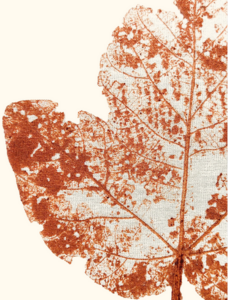 Tramas da Terra-Exposição Andrelisa