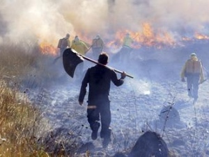 Imagem obtida em https://www.cbngoiania.com.br/programas/cbn-goiania/cbn-goi%C3%A2nia-1.213644/cerrado-sofre-com-desmatamento-e-com-o-aumento-de-inc%C3%AAndios-1.2318176