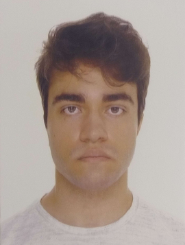 Guilherme M Vital