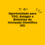 Oportunidade para TCC, Estágio e Bolsistas de Iniciação Científica (IC)
