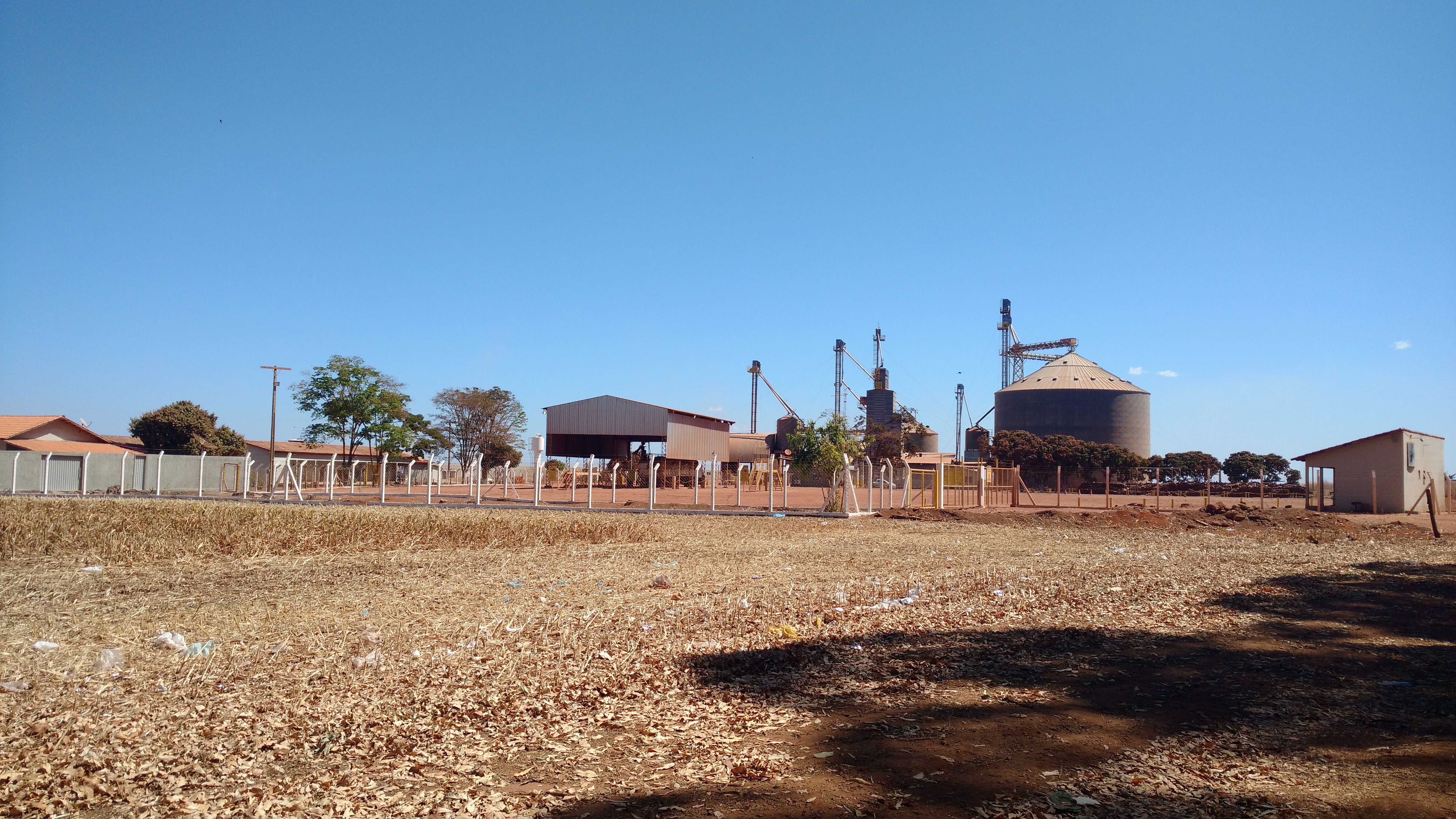 Trabalhos de campo - Chapadão de Santo Ântonio do Rio Verde