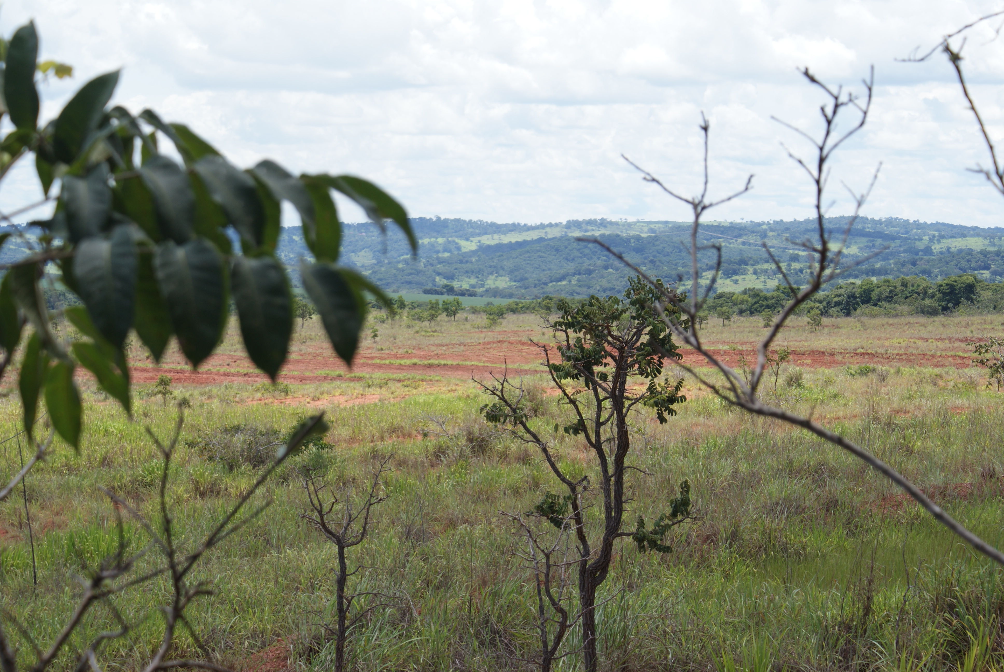 Trabalho de campo realizado na disciplina de geologia