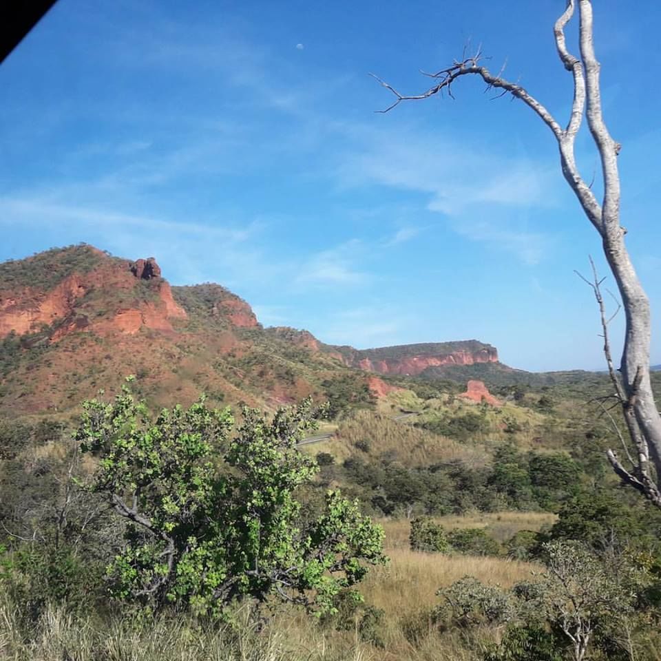 Trabalhos de campo - Chapadão de Santo Ântonio do Rio Verde