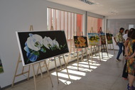 ExpoArte 2014 - abertura 