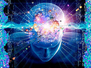 cerebro