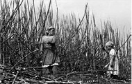 noticia1369678336_ORIG.jpg
