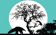 original_ii_simposio_de_ciencias_biologicas_do_sudoeste_goiano1