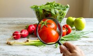 segurança alimentar segurança alimentar