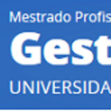 Mestrado em Gestão Organizacional Mestrado em Gestão Organizacional
