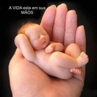 noticia1336683600_ORIG.jpg