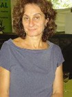 noticia1224263764.jpg
