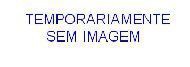 noticia1222950911.JPG