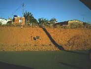 noticia1224611850.JPG