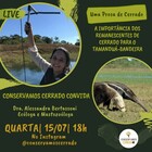 Live Alessandra Bertassoni