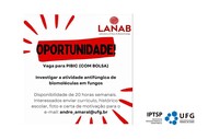 BOLSA LANAB.jpg