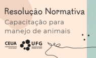 BannerNotícia_CEUA.png