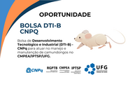  NOVO - Ilustração - IPTSP - Diversos.png
