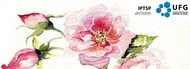 banner mãe