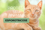 esporotricose_-_desaque_site.png