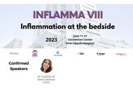 inflamma - prof Ludmila