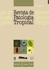 noticia1320379949_ORIG.jpg
