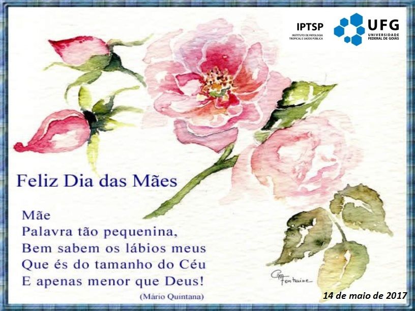 Dia das mães2017