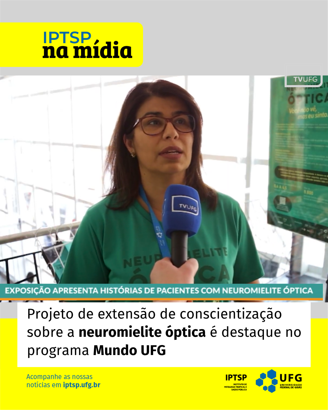 exposição feed