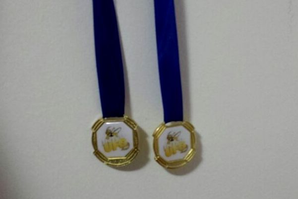Inter UFG 2014 ouro sinuca