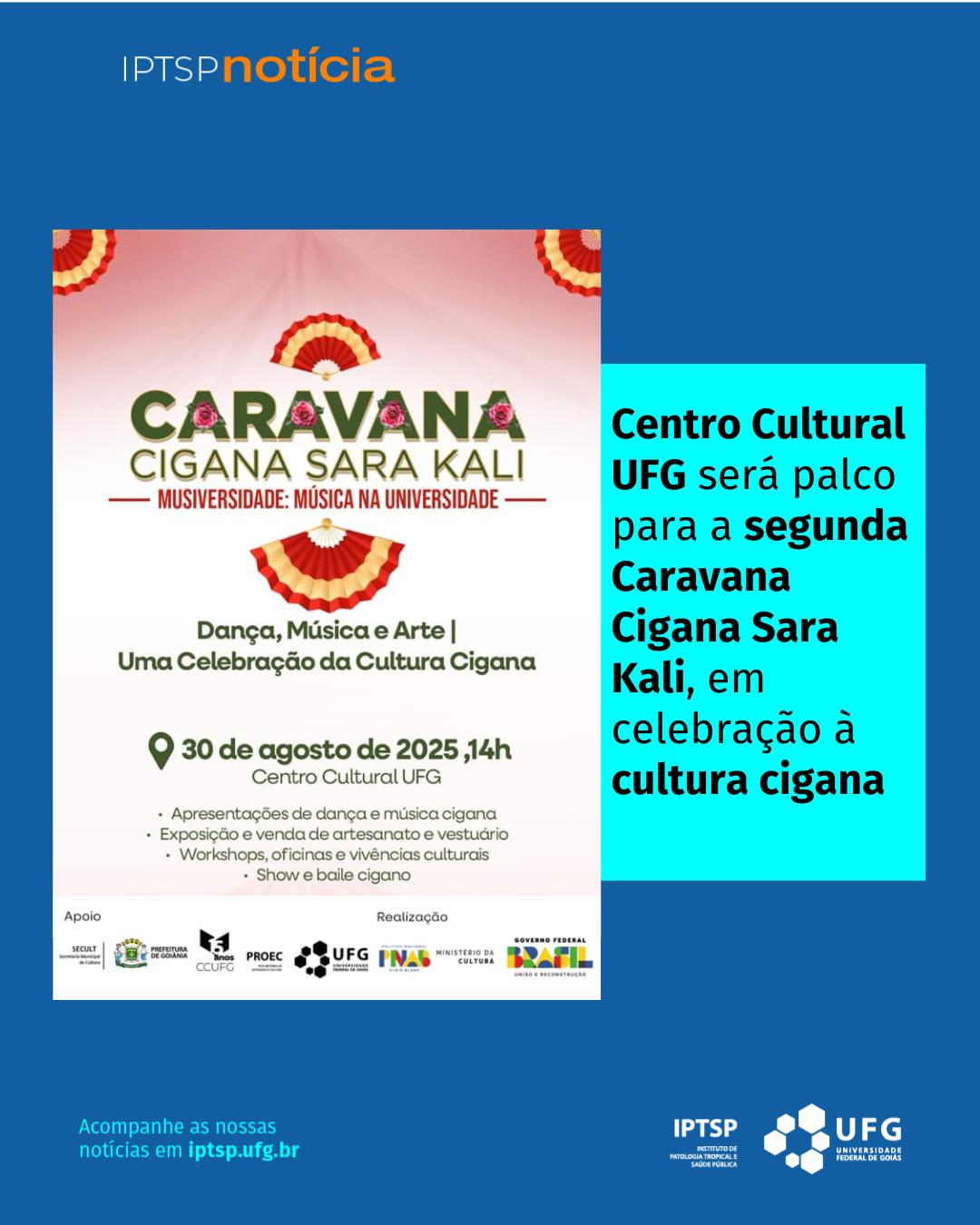 caravana cigana feed