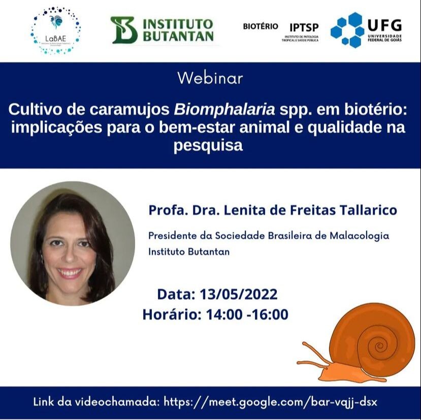 webinário 