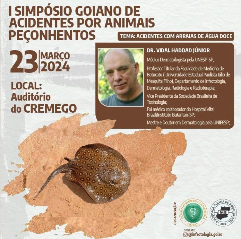 acidente com arraias 